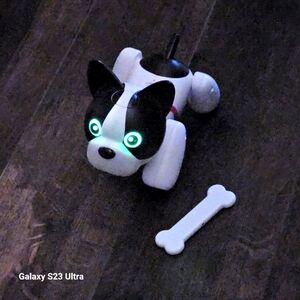 Duke voice activated dog